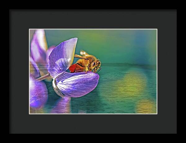 Ready for Lift Off from a Purple Flower - Framed Print