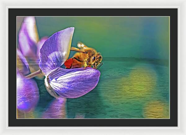 Ready for Lift Off from a Purple Flower - Framed Print