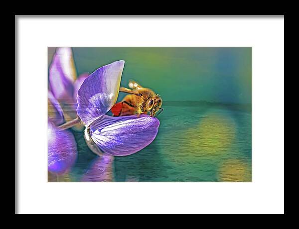 Ready for Lift Off from a Purple Flower - Framed Print