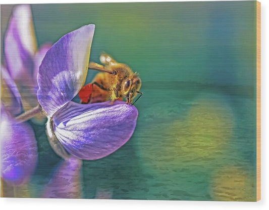Ready for Lift Off from a Purple Flower - Wood Print