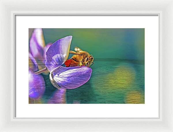 Ready for Lift Off from a Purple Flower - Framed Print