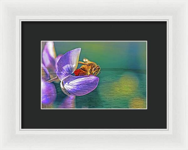 Ready for Lift Off from a Purple Flower - Framed Print
