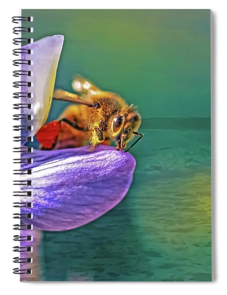 Ready for Lift Off from a Purple Flower - Spiral Notebook