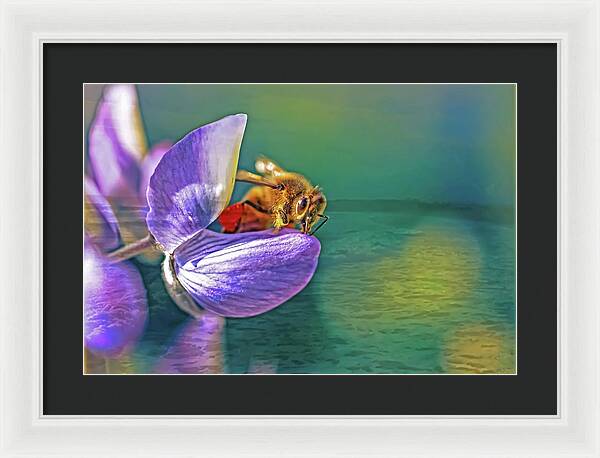 Ready for Lift Off from a Purple Flower - Framed Print