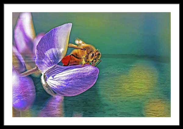 Ready for Lift Off from a Purple Flower - Framed Print