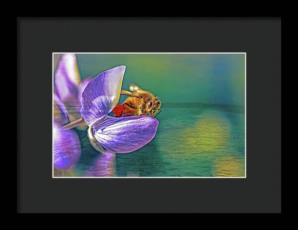 Ready for Lift Off from a Purple Flower - Framed Print