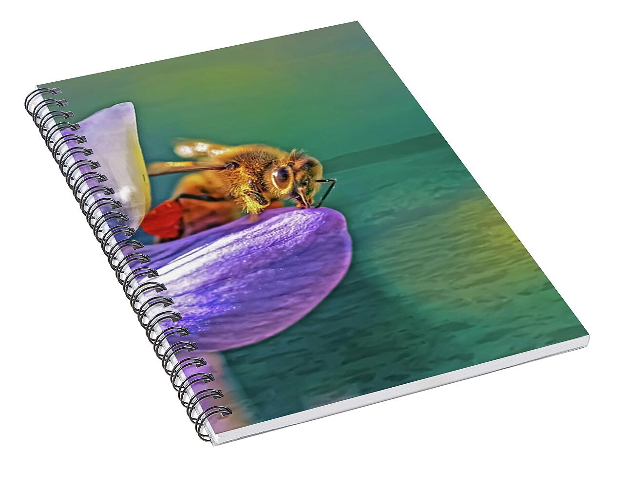 Ready for Lift Off from a Purple Flower - Spiral Notebook
