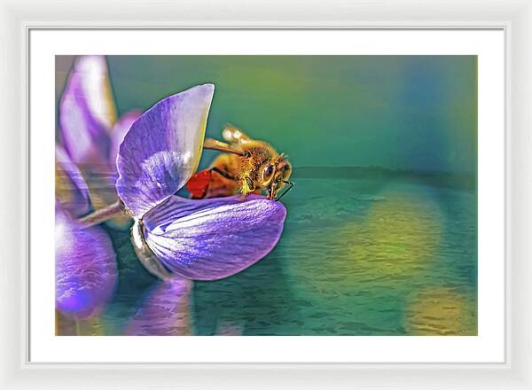 Ready for Lift Off from a Purple Flower - Framed Print