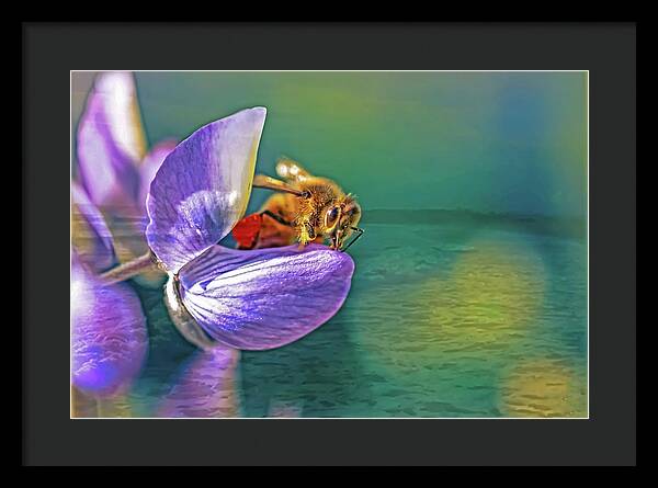 Ready for Lift Off from a Purple Flower - Framed Print