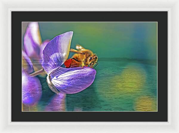 Ready for Lift Off from a Purple Flower - Framed Print