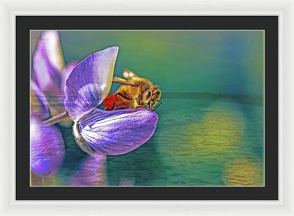 Ready for Lift Off from a Purple Flower - Framed Print