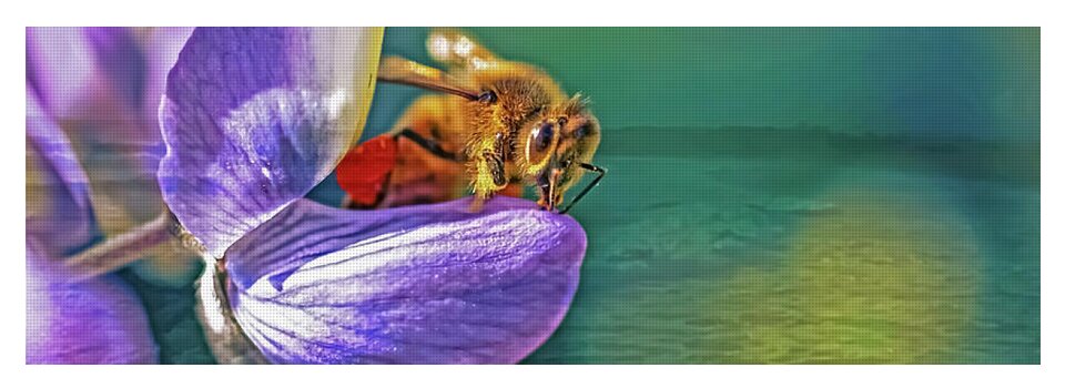 Ready for Lift Off from a Purple Flower - Yoga Mat