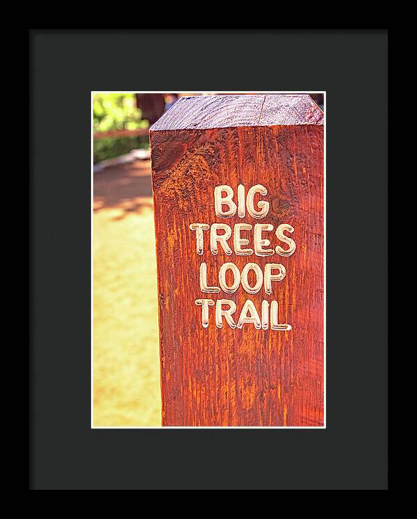 Redwood Sign Post Big Trees Loop Trail - Framed Print