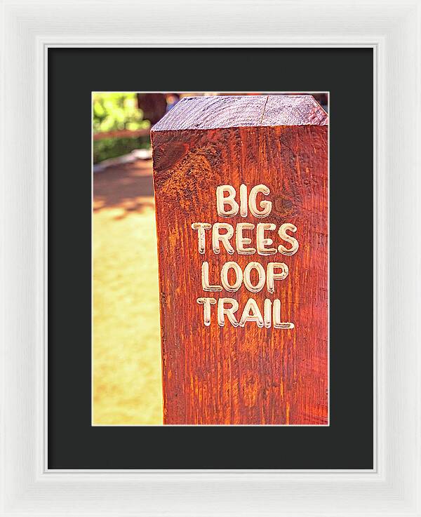Redwood Sign Post Big Trees Loop Trail - Framed Print