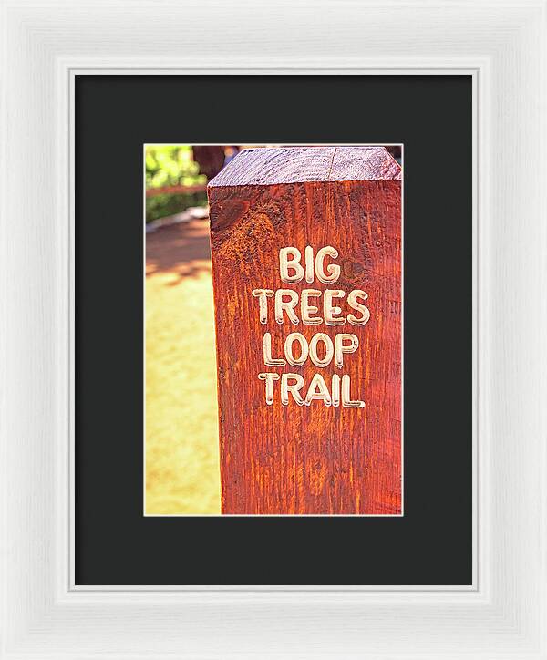 Redwood Sign Post Big Trees Loop Trail - Framed Print
