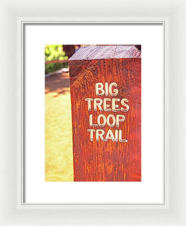 Redwood Sign Post Big Trees Loop Trail - Framed Print