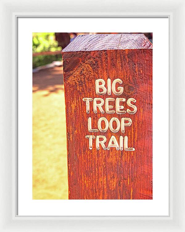 Redwood Sign Post Big Trees Loop Trail - Framed Print