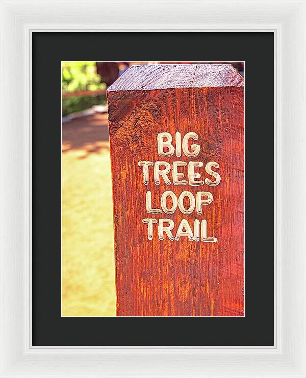 Redwood Sign Post Big Trees Loop Trail - Framed Print