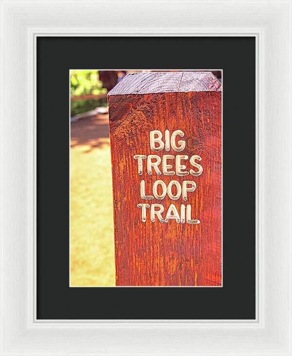Redwood Sign Post Big Trees Loop Trail - Framed Print