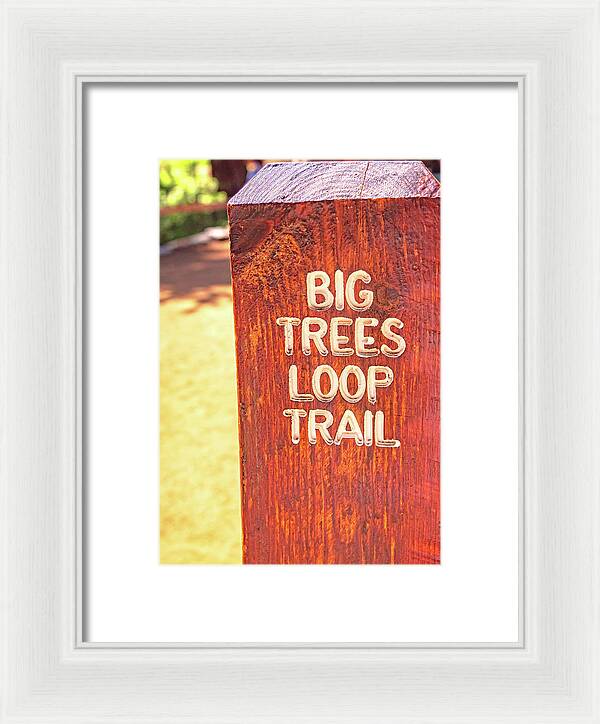 Redwood Sign Post Big Trees Loop Trail - Framed Print