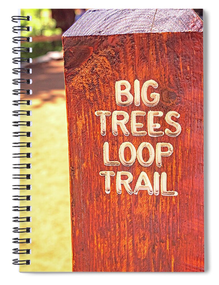 Redwood Sign Post Big Trees Loop Trail - Spiral Notebook