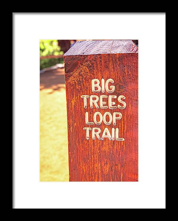 Redwood Sign Post Big Trees Loop Trail - Framed Print