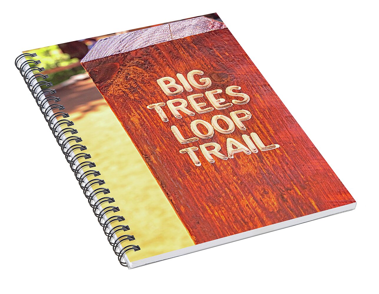 Redwood Sign Post Big Trees Loop Trail - Spiral Notebook