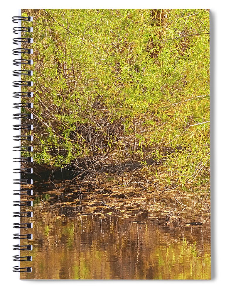 Reflections in a Tranquil Pond - Spiral Notebook
