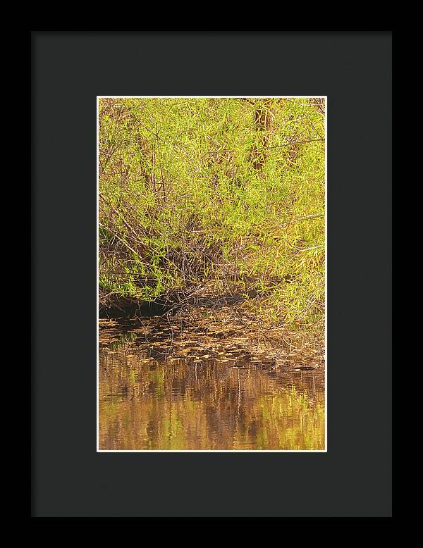 Reflections in a Tranquil Pond - Framed Print
