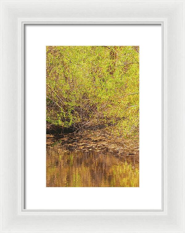 Reflections in a Tranquil Pond - Framed Print