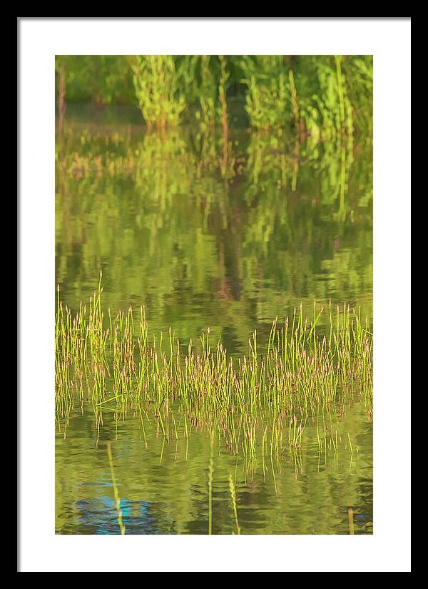 Reflections on a Tranquil Pond - Framed Print