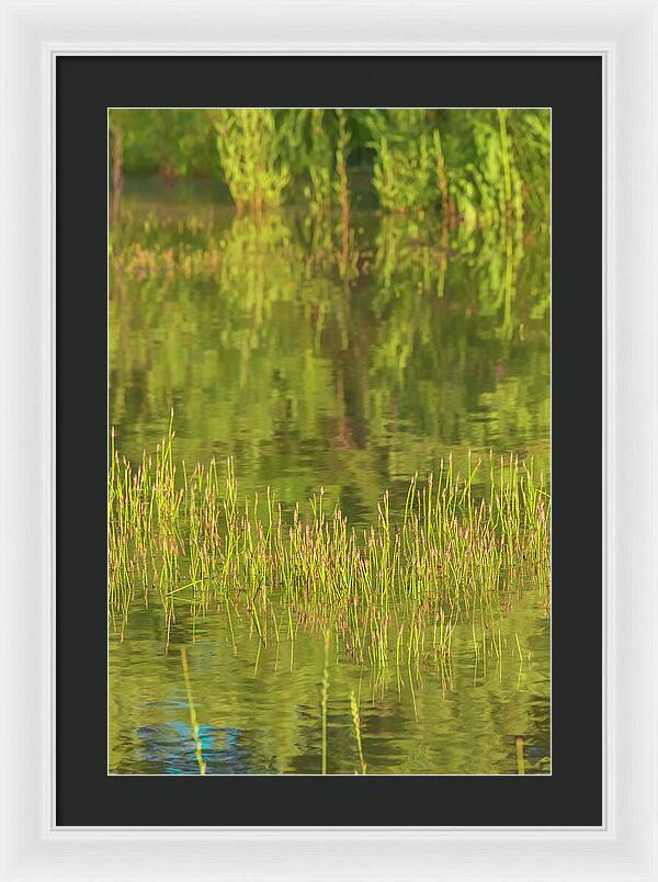 Reflections on a Tranquil Pond - Framed Print