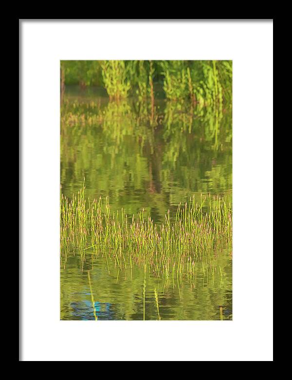 Reflections on a Tranquil Pond - Framed Print