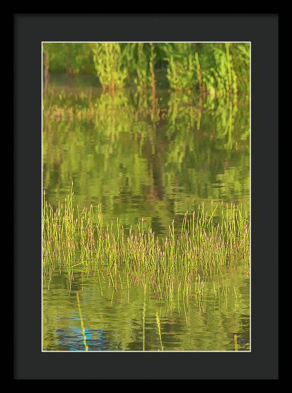 Reflections on a Tranquil Pond - Framed Print