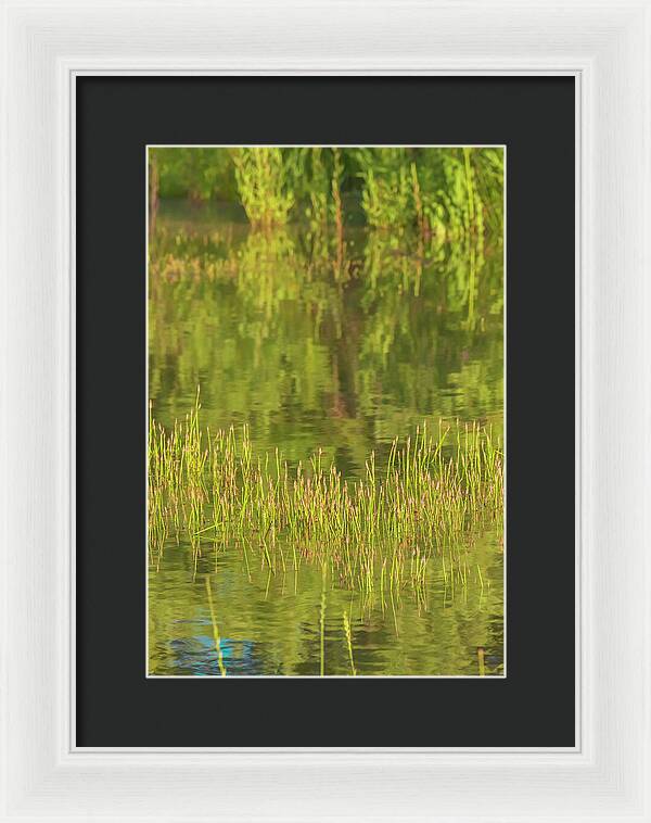 Reflections on a Tranquil Pond - Framed Print