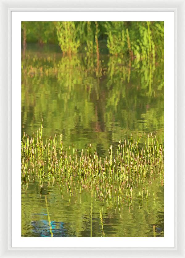 Reflections on a Tranquil Pond - Framed Print