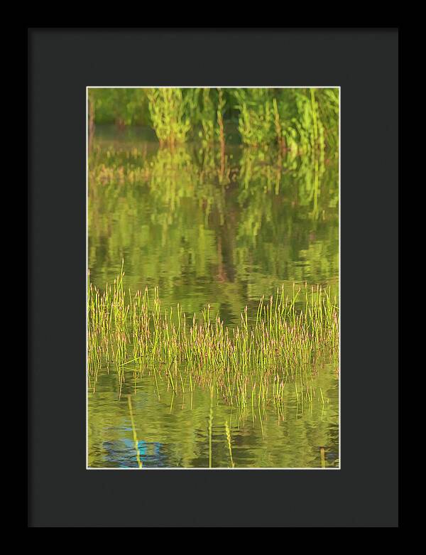 Reflections on a Tranquil Pond - Framed Print