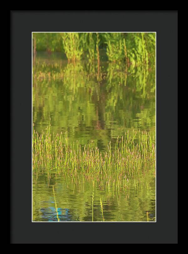 Reflections on a Tranquil Pond - Framed Print