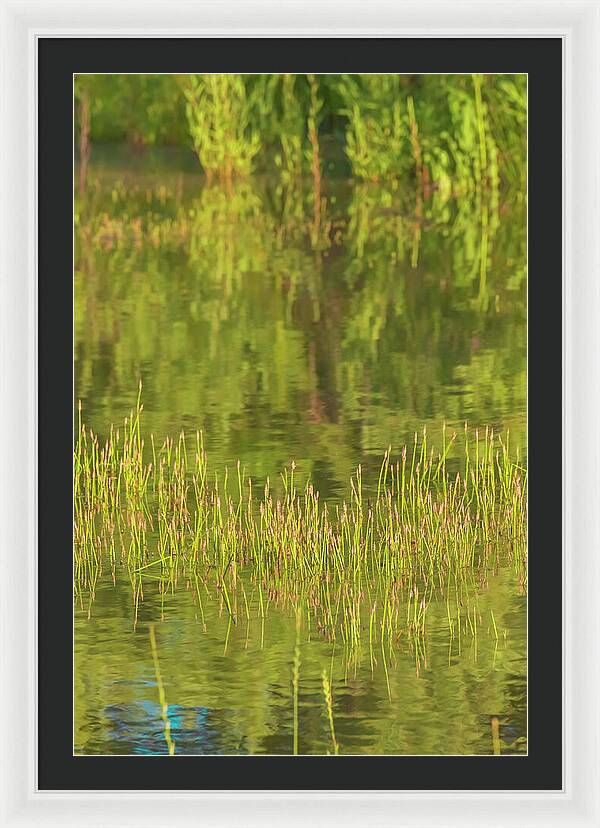 Reflections on a Tranquil Pond - Framed Print