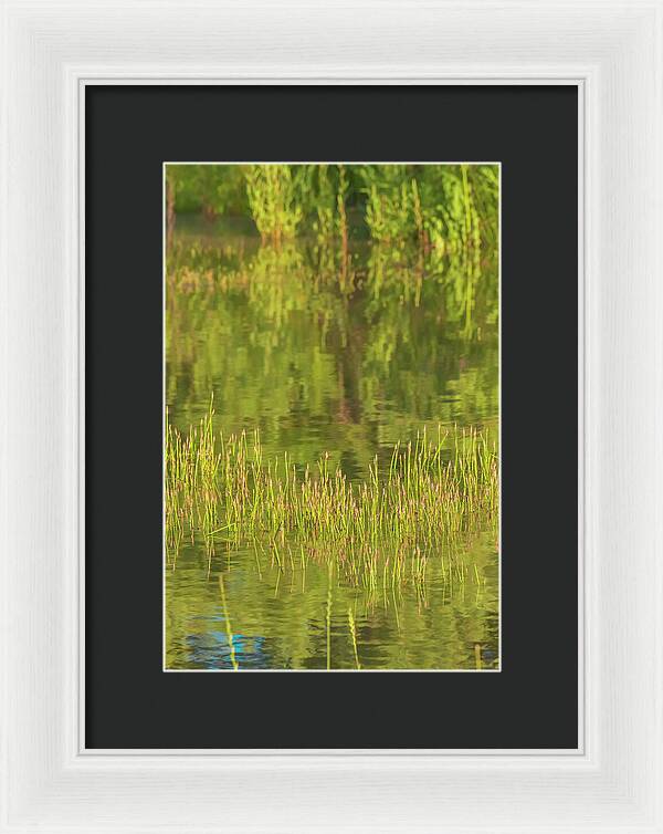 Reflections on a Tranquil Pond - Framed Print