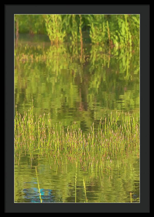 Reflections on a Tranquil Pond - Framed Print