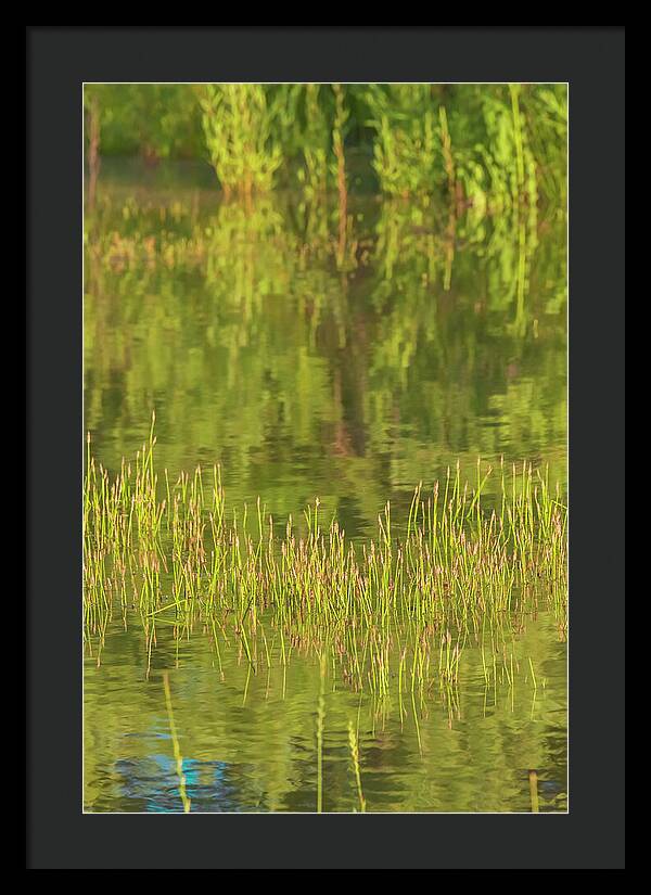 Reflections on a Tranquil Pond - Framed Print