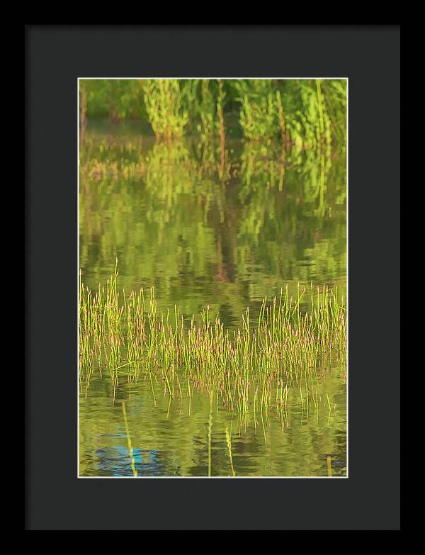 Reflections on a Tranquil Pond - Framed Print