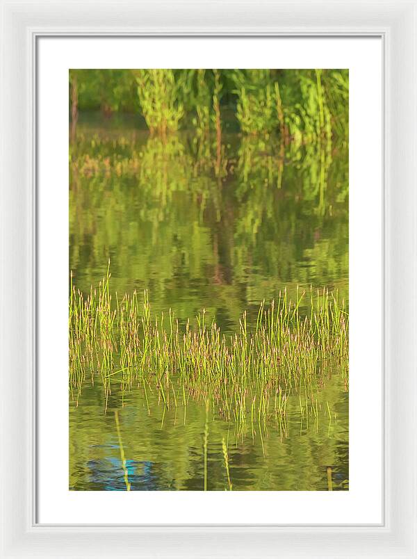 Reflections on a Tranquil Pond - Framed Print