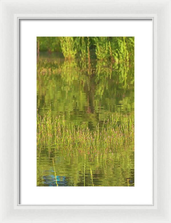 Reflections on a Tranquil Pond - Framed Print