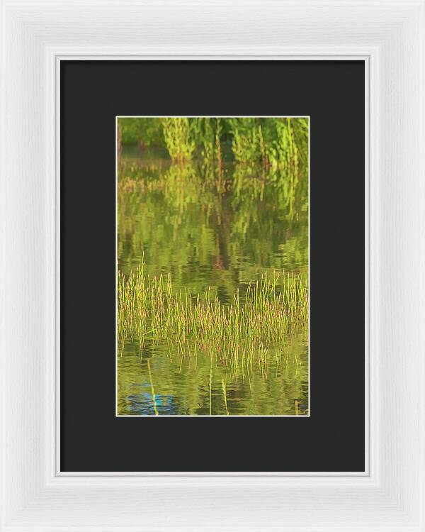 Reflections on a Tranquil Pond - Framed Print