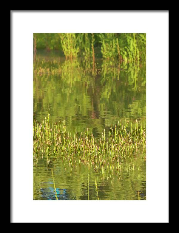 Reflections on a Tranquil Pond - Framed Print
