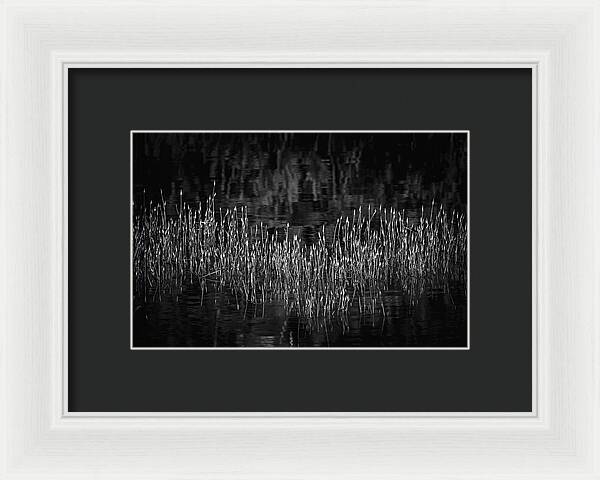 Reflective Grasses in Water - Framed Print