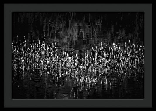 Reflective Grasses in Water - Framed Print