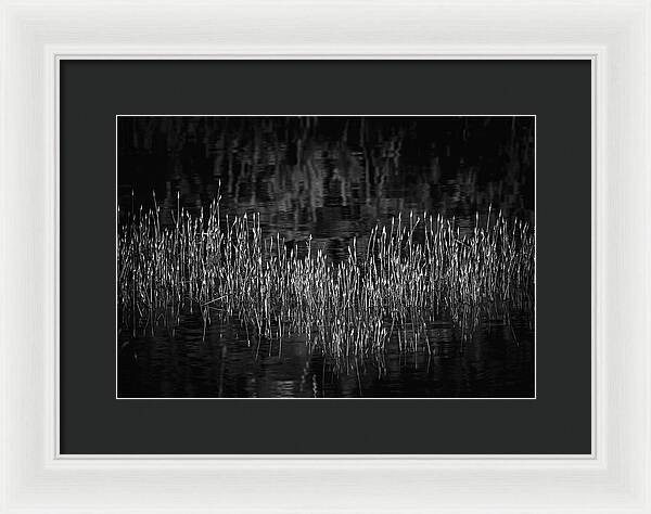 Reflective Grasses in Water - Framed Print